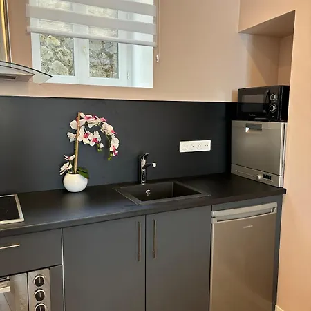 Centre * 라루브불